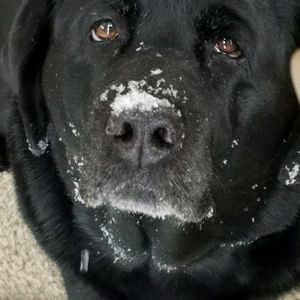 Meet your Posher, Karen